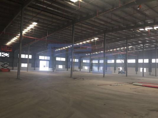 浦东新区金亮路jrs超清直播_极速体育手机版_极速吧体育出租