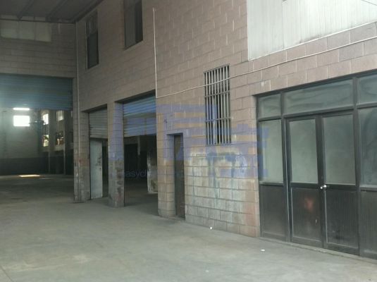 奉贤区安泰路jrs超清直播_极速体育手机版_极速吧体育出租