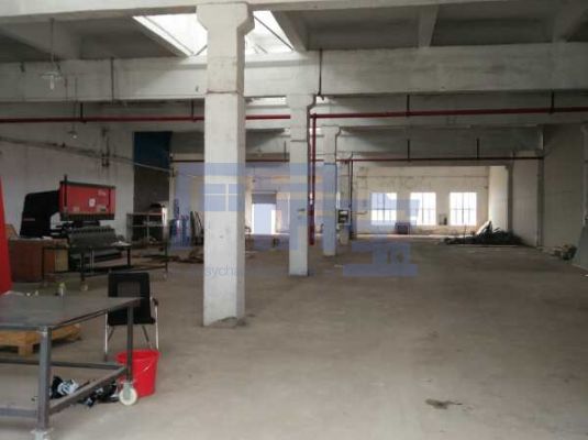 金山区漕廊公路jrs超清直播_极速体育手机版_极速吧体育出租