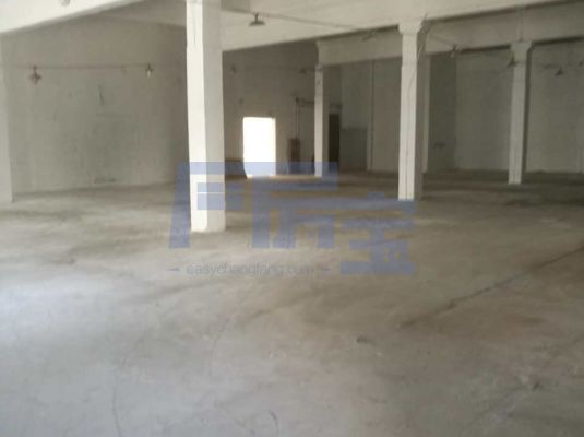 金山区廊华公路jrs超清直播_极速体育手机版_极速吧体育出租